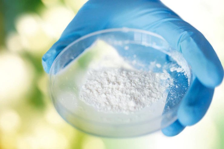 Bacillus Coagulans Blend Manufacturers in India